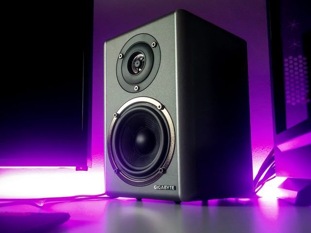 Monitor Speakers