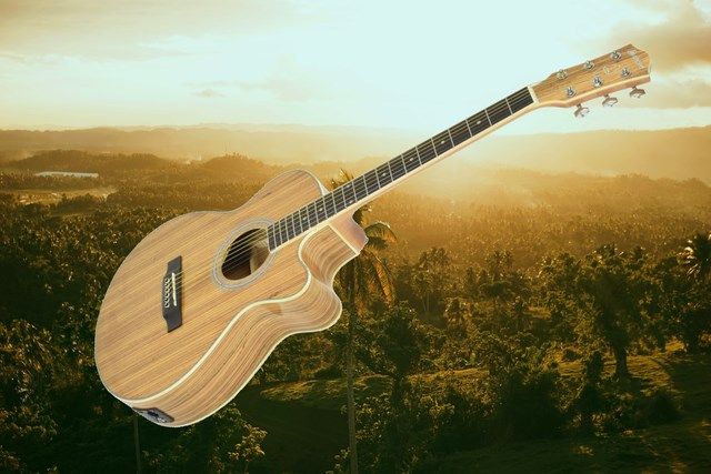 N5Z Native Zebrano electro-acoustic guitar